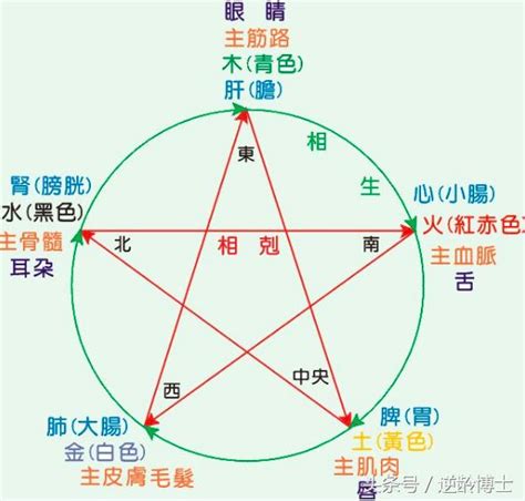 五行屬木適合的行業|【木屬性行業】木屬性行業：事業運超旺的你最適合的工作有哪。